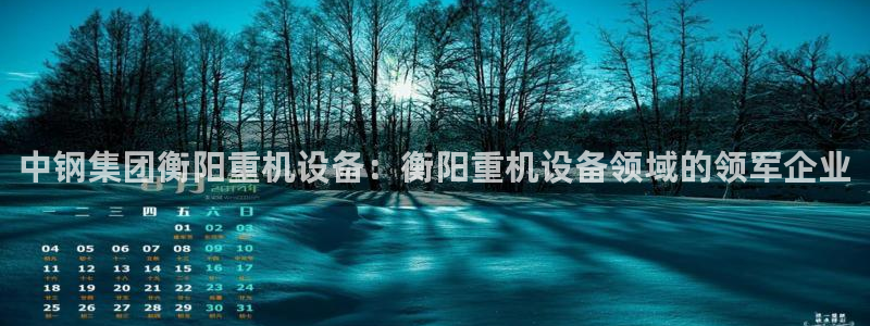 威九国际系列：中钢集团衡阳重机设备：衡阳重机设备领域的领军企