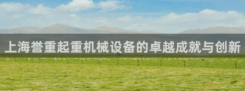 78mapp威九国际官网版：上海誉重起重机械设备的卓越成就与