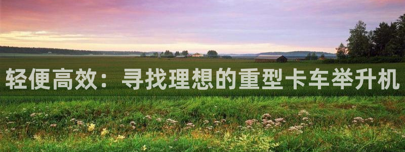 威九国际父亲的友人：轻便高效：寻找理想的重型卡车举升机