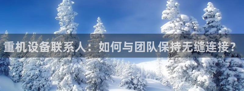 威九国际网站官网：重机设备联系人：如何与团队保持无缝连接？