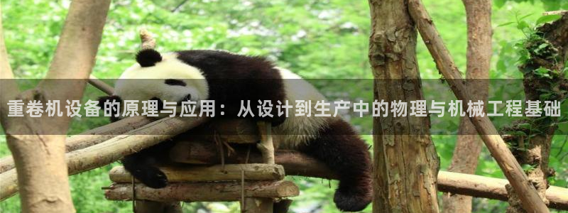 威九国际mm：重卷机设备的原理与应用：从设计到生产中的物理与