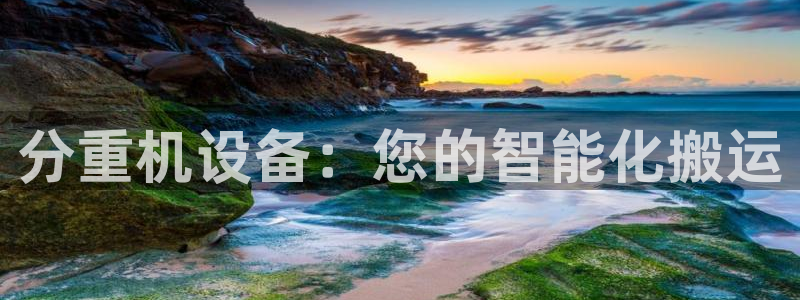威九国际地址：分重机设备：您的智能化搬运