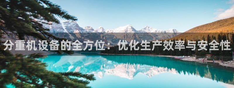威九国际网站入口地址：分重机设备的全方位：优化生产效率与安全