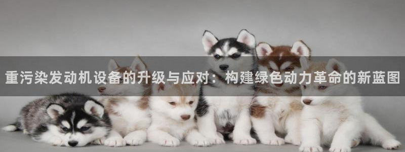 威九国际能提现吗