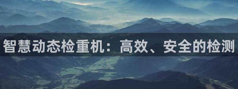 威九国际网站进入(中国)有限公司-官网：智慧动态检重机：高效