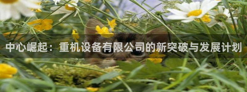 威九国际空降服务怎么样：中心崛起：重机设备有限公司的新突破与