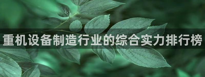 78mapp威九国际官网版：重机设备制造行业的综合实力排行榜