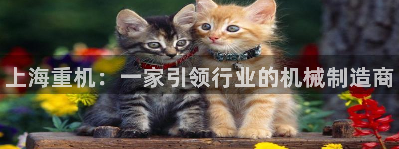 威九国际女演员名单介绍：上海重机：一家引领行业的机械制造商