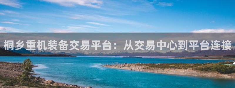 威九国际app哪个地方：桐乡重机装备交易平台：从交易中心到平