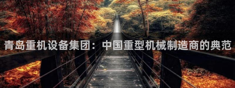 威九国际网站怎么样知乎：青岛重机设备集团：中国重型机械制造商