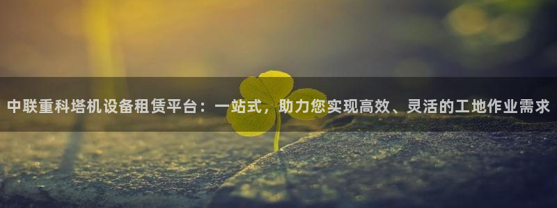 威九国际app网站：中联重科塔机设备租赁平台：一站式，助力您