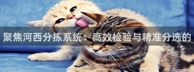 威九国际取款多到账：聚焦河西分拣系统：高效检验与精准分选的