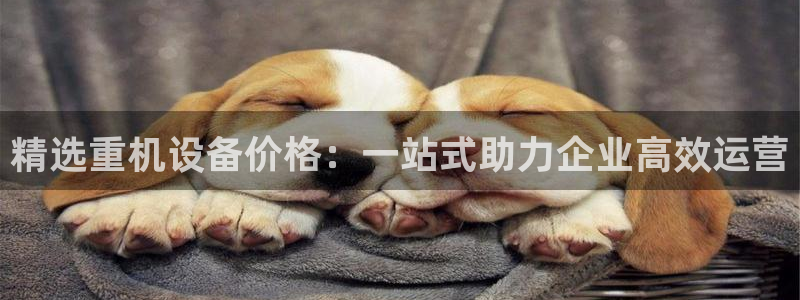威九国际女神：精选重机设备价格：一站式助力企业高效运营