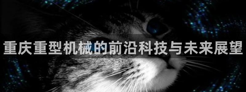 威九国际78mb特点：重庆重型机械的前沿科技与未来展望