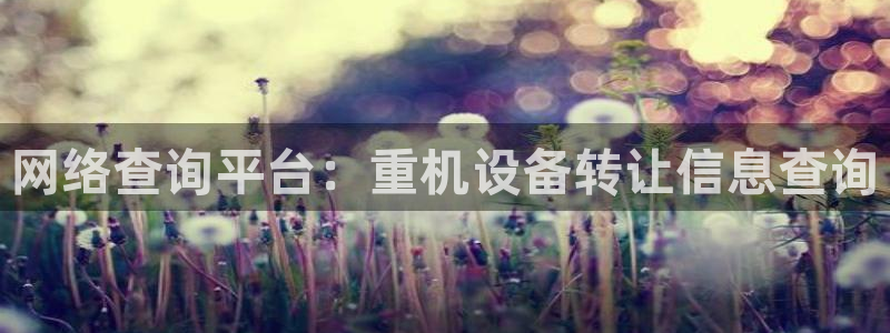 威九国际下载官网app