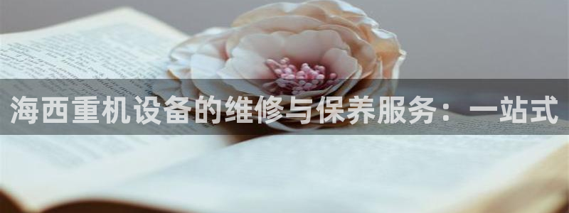 威九国际合作伙伴有哪些