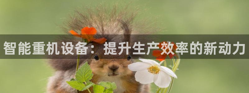 威九国际最新网站